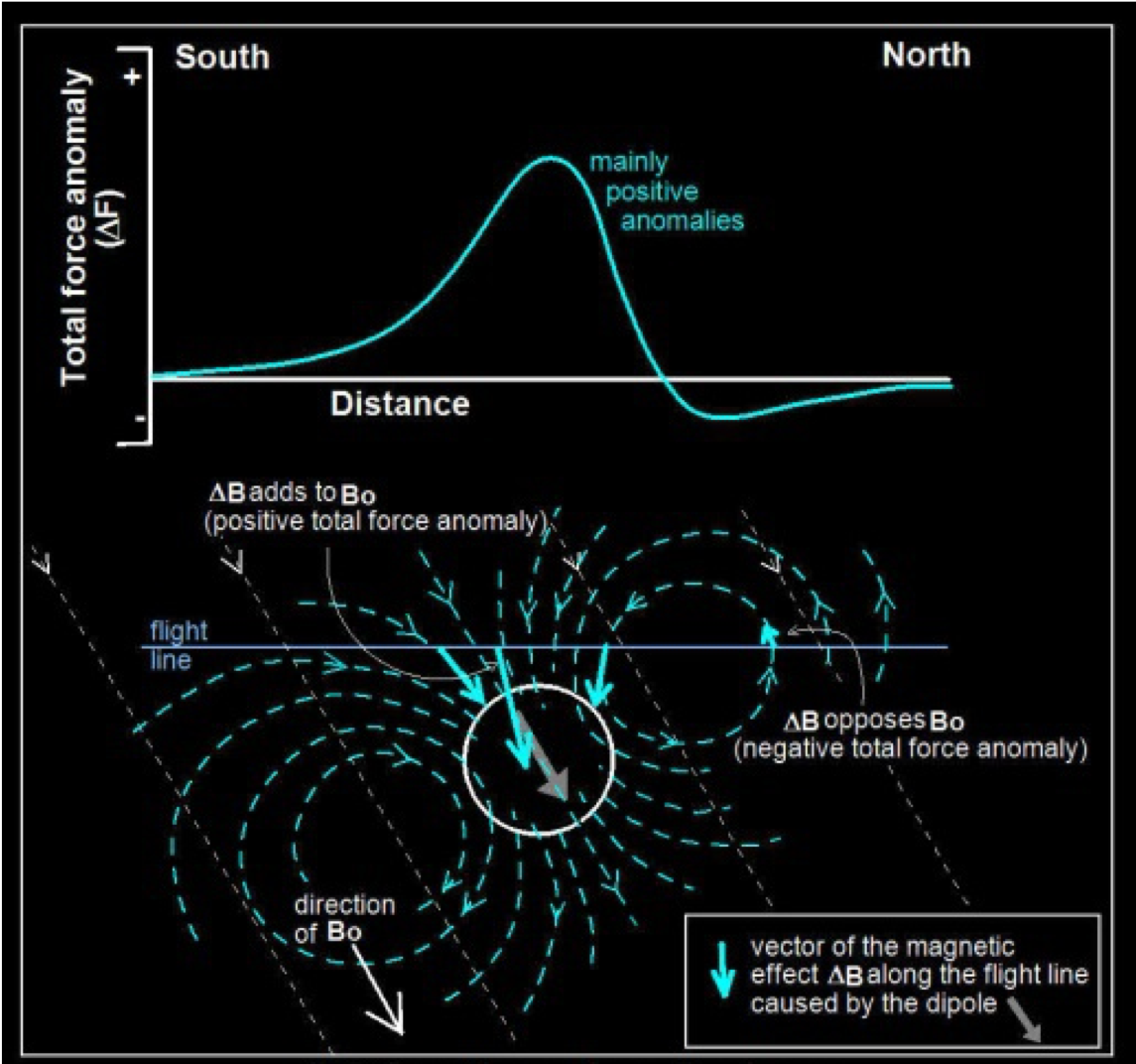 Anomaly of induced magnetic dipole in northern Hemisphere