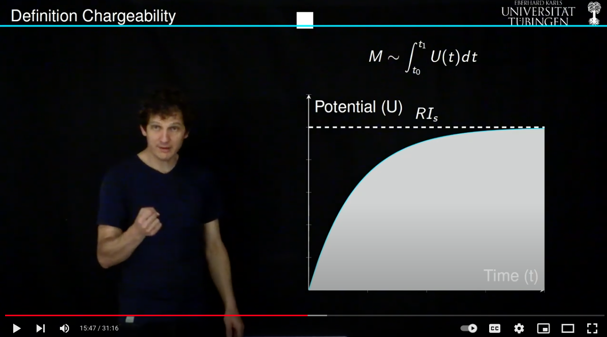 Induced Polarization Method